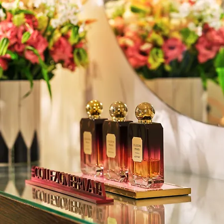 Hotel Le Meurice - Dorchester Collection Parigi